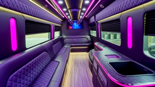 tucson party bus rental rental